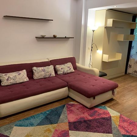 River House Apartment Cluj-Napoca Exterior photo